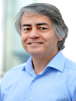 Prof. Hamid AssadiBrunel University London, UK
